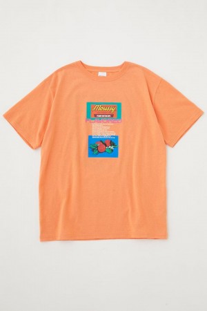 Dámské Tričko Moussy Collage 23 Tee Oranžové | PCG3067ZY