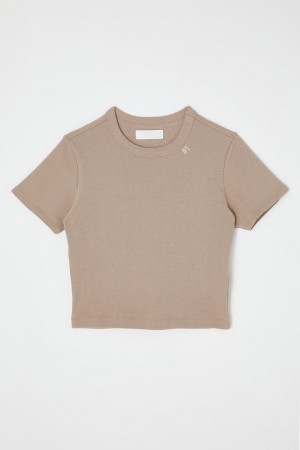 Dámské Tričko Moussy Cut Off Basic Tee Hnědožlutý | KNM7373RU