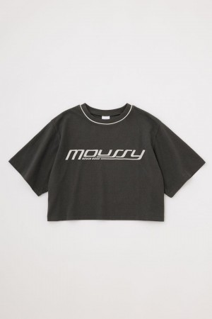 Dámské Tričko Moussy Sportovní Logo Tee Světle Černé | JQH2436EF